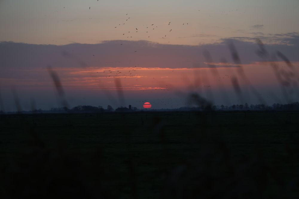 Sonnenaufgang vom 17.12.2025
