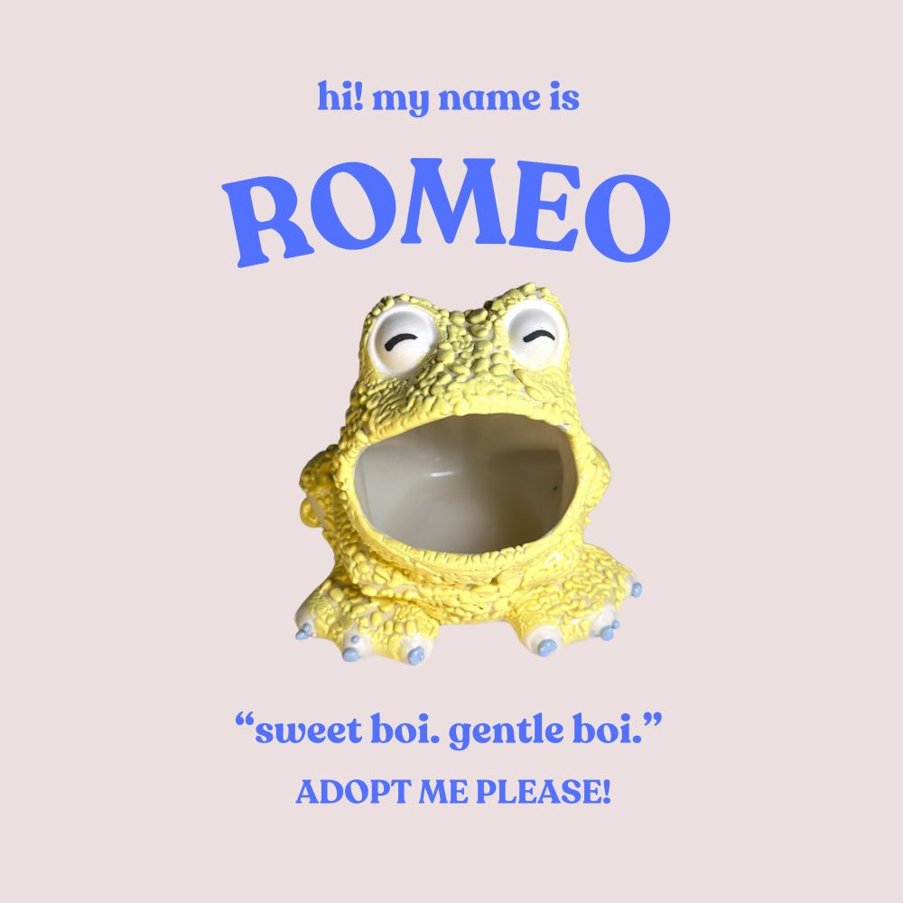 A yellow ceramic frog with blue toes. Caption reads "hi! my name is Romeo - sweet boi. gentle boi - adopt me please!"