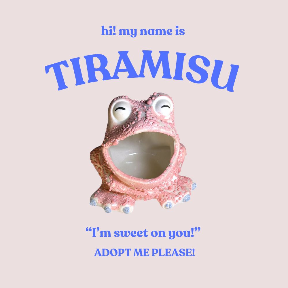 A pink ceramic frog with blue toes. Caption reads "hi! my name is Tiramisu - I'm sweet on you! - adopt me please!"