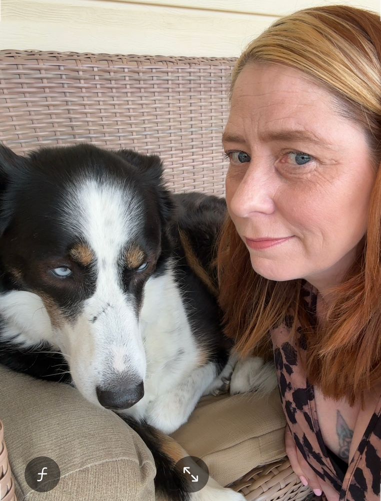 Border collie with stunning blue eyes looks with disdain at red haired human who insists on taking pictures with her. 