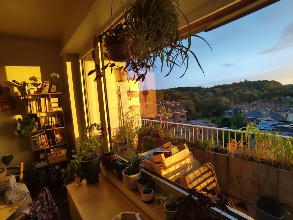 Brussels evening sky, where white becomes orange for a few minutes. 