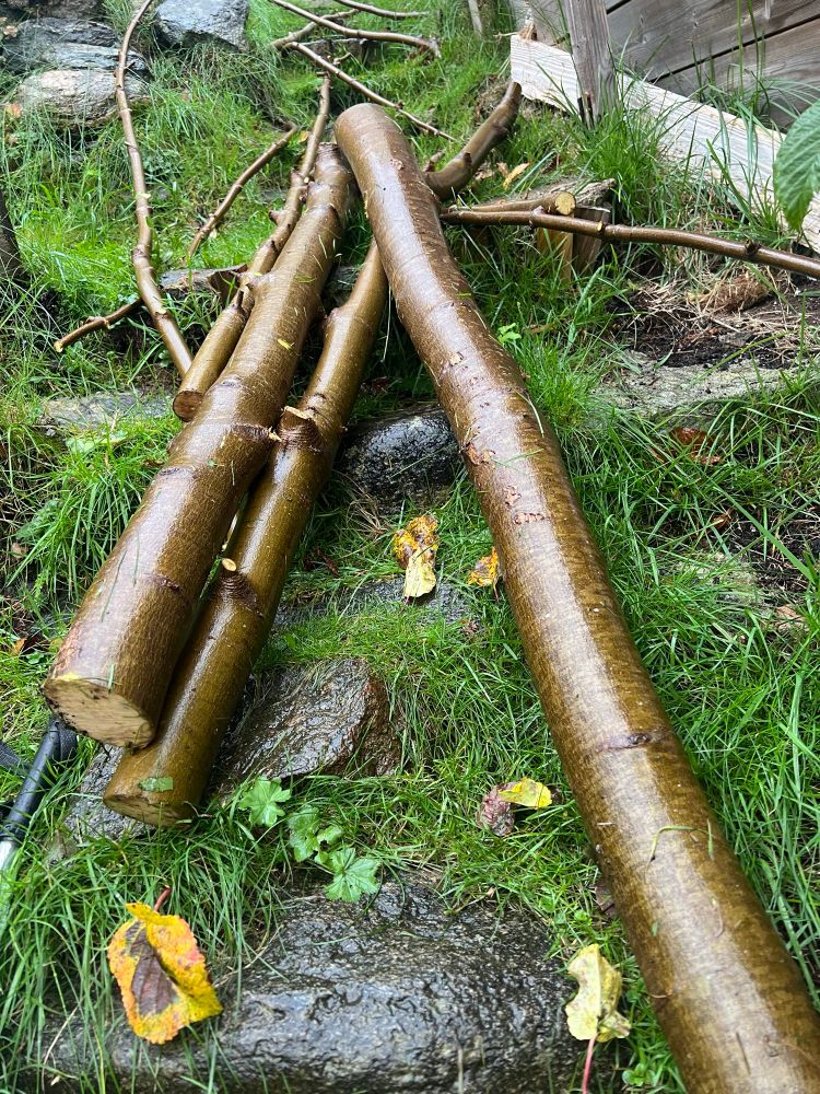 Trestammer(oppdelte) og pinner som skal bli til ved. Regnvåte.