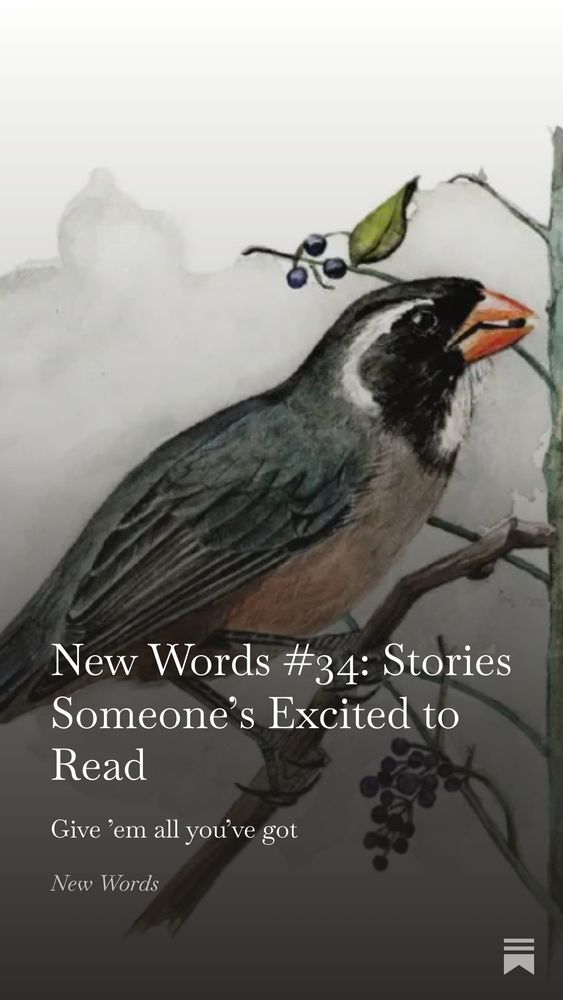 text: New Words #34: Stories Someone's Excited to Read, Give 'em all you've got, New Words; background: artist's rendering of a bird