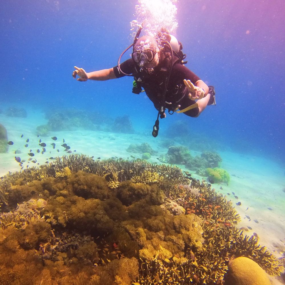 Man scuba diving above coral