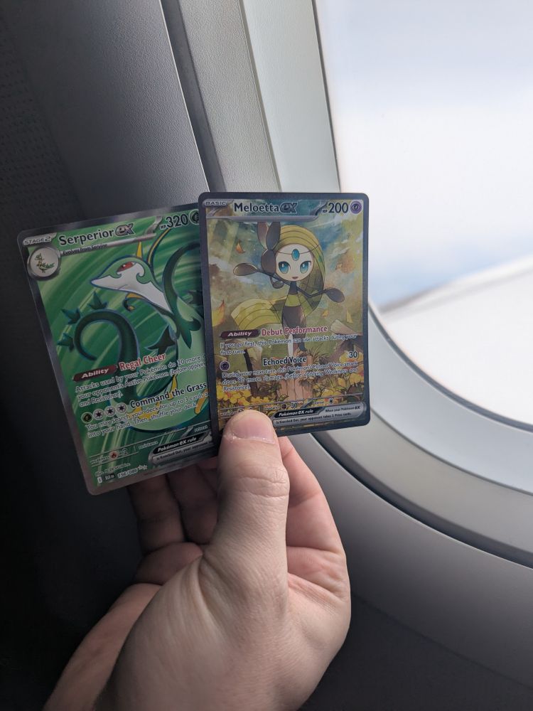 Meloetta SAR and Serperior FA hit out of the same pack, somewhere over the middle of the country