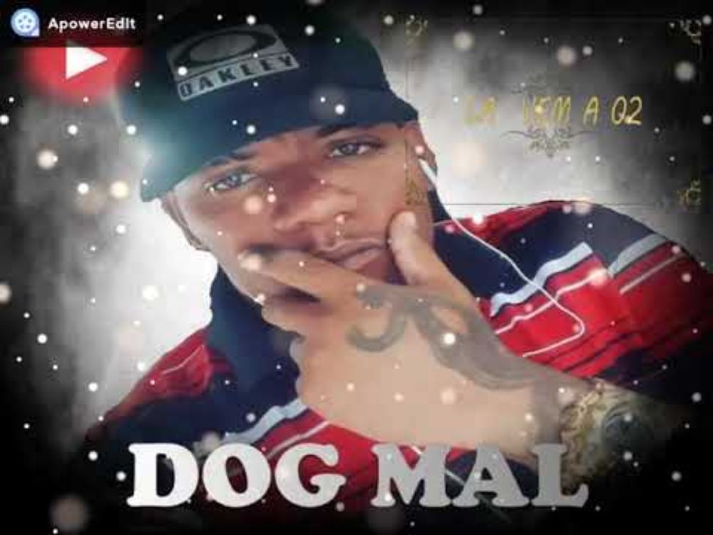 DOG MAL: LA VEM A 02