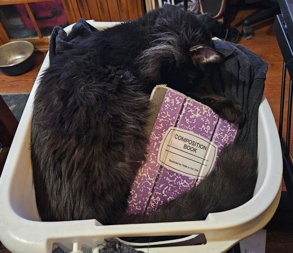 A shaggy black cat sleeping in a laundry hamper curled around a tablet with a purple Composition notebook case like a familiar protecting its witch's Grimoire.