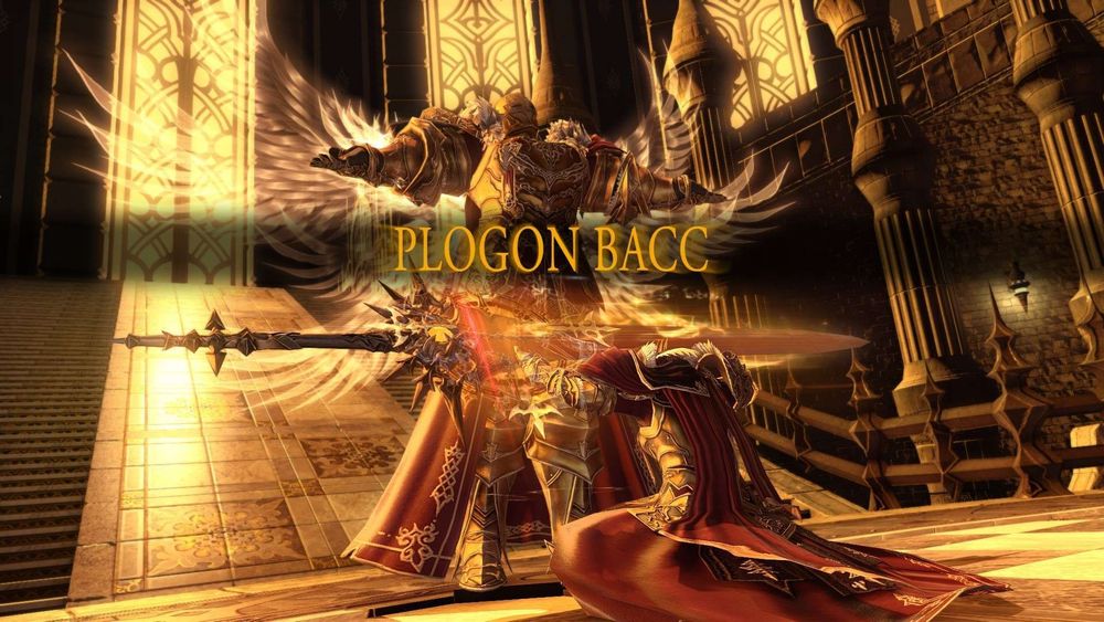 Plogon bacc