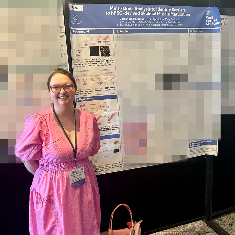 Cassie, a short brunette, is wearing a bright pink linen dress with her hair pulled back in a clip. She is wearing glasses and a lanyard with her name. She is smiling and standing in front of a pixelated scientific poster with the title “Multi-Omic Analysis to Identify Barriers to hPSC-derived Skeletal Muscle Maturation”. The title is white font on a sky blue background.  