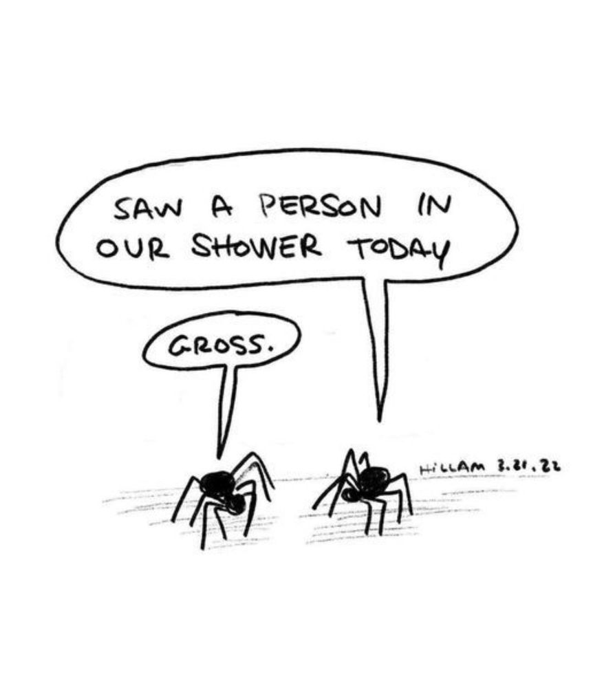 A black and white sketch of two spiders. The spider on the right says to the one on the left:  "Saw a person in our shower today."  The other spider replies: "Gross."
