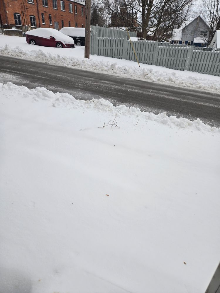 A snow covered sidewalk and yard with a freshly plowed road visible.