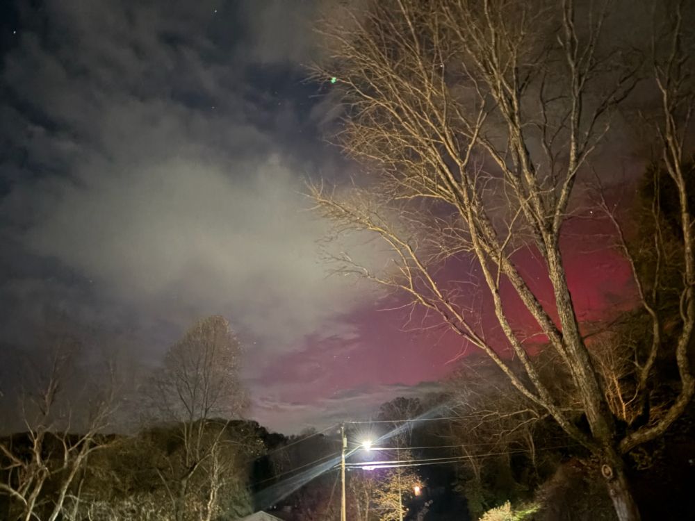 Pink aurora in between clouds and behind some trees taken in Athens ohio