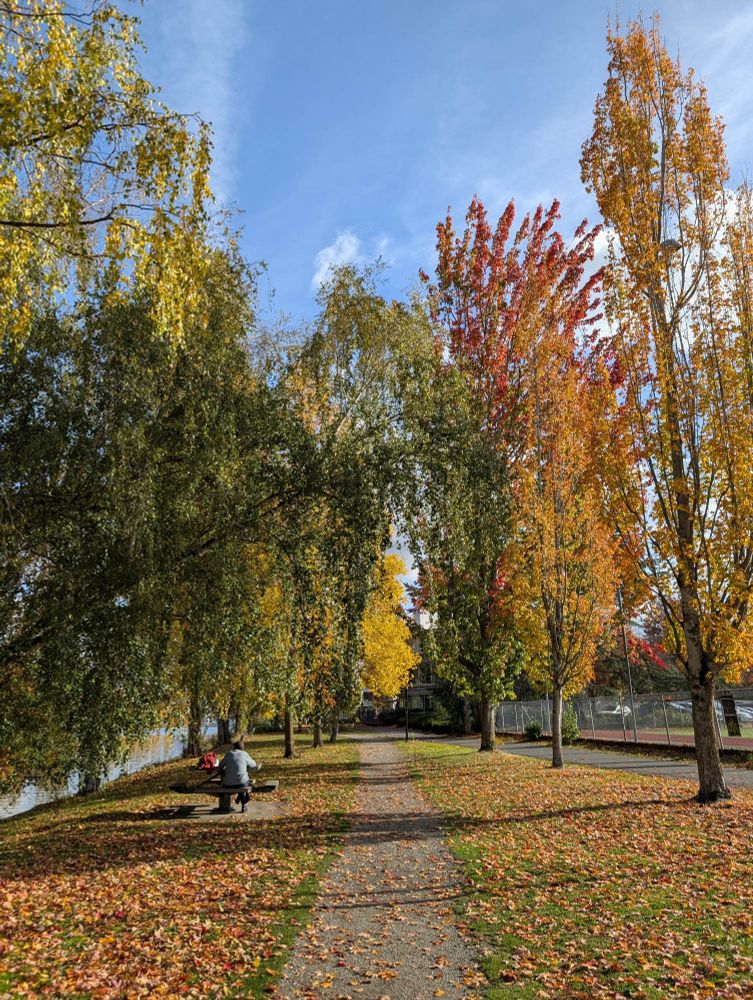 Ship Canal trail with very colorful leaves and a lone person sitting at a picnic table