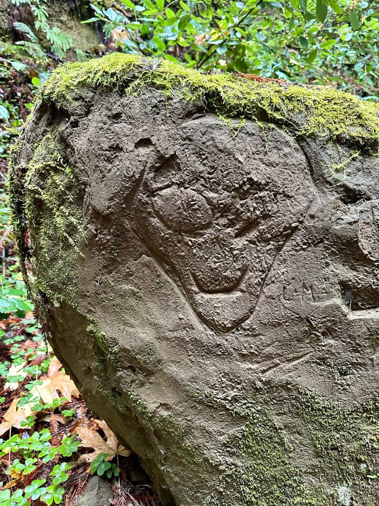 An outline of an alien, etched into a moss-covered boulder. 