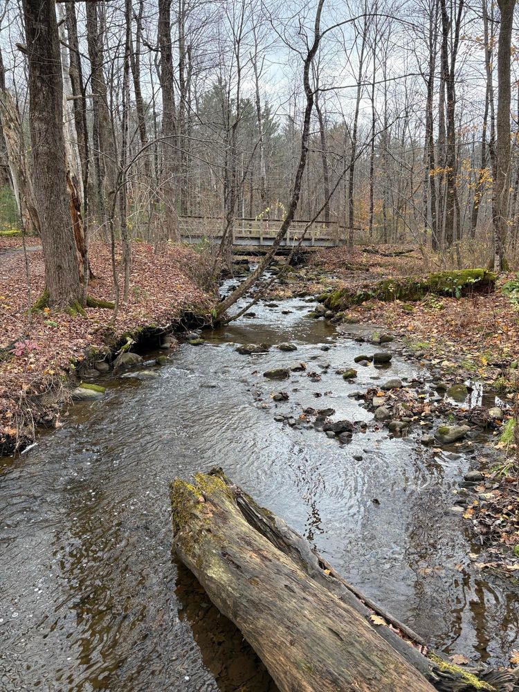 Photograph of a creek flowing through woodland. Most of the leaves have fallen. Gray sky is reflected in the water.