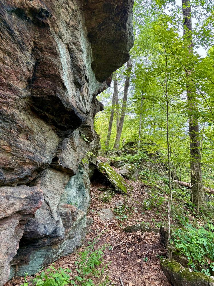 Photograph of a rugged cliff rising in summertime forest. 