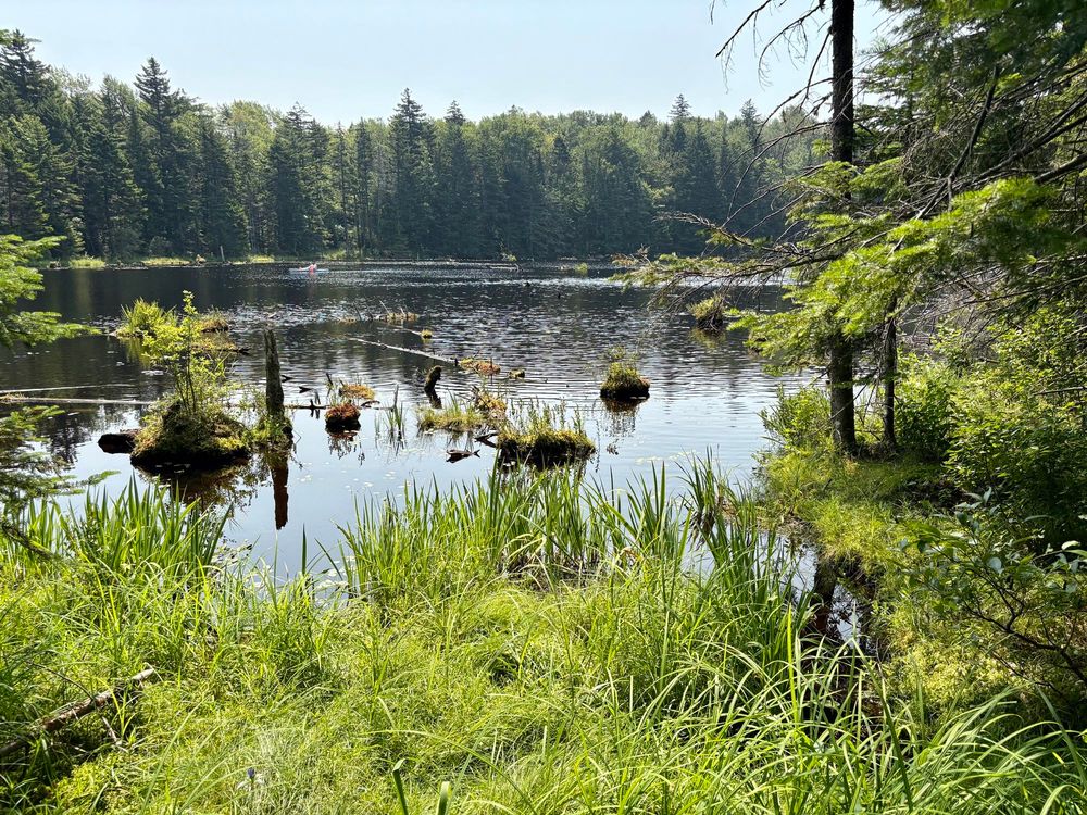 Photograph of a lake bounded by woods. Hazy blue sky rises above.