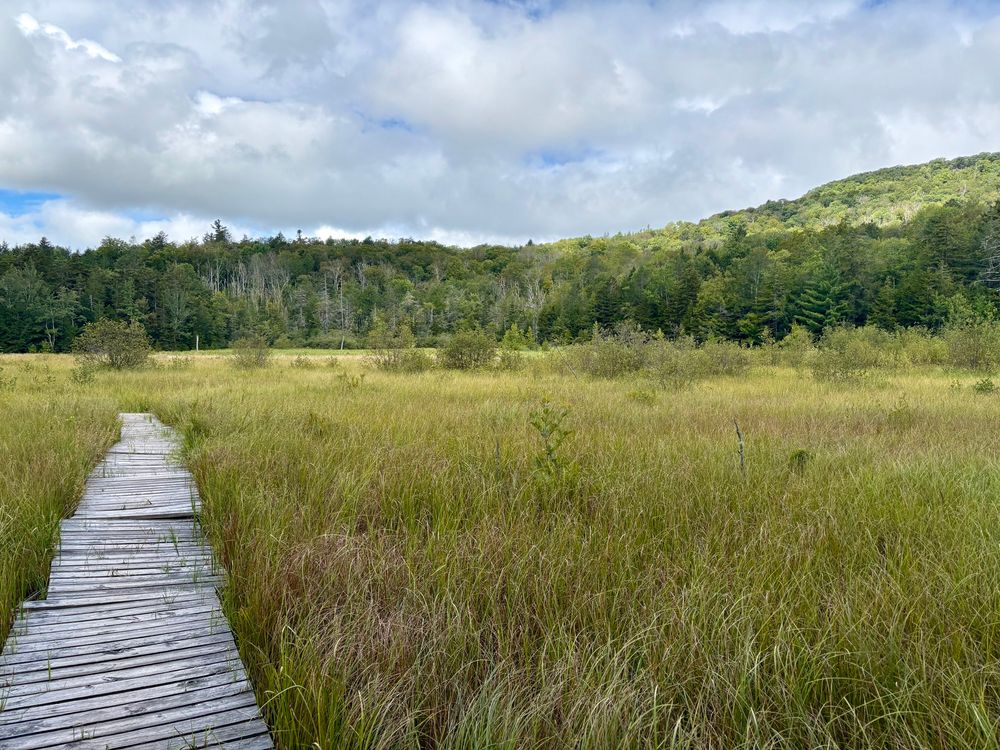 Photograph of a grassy mountain meadow with a dilapidated wooden boardwalk extending partway through it. Forested hills form the horizon beyond the meadow beneath partly cloudy sky.