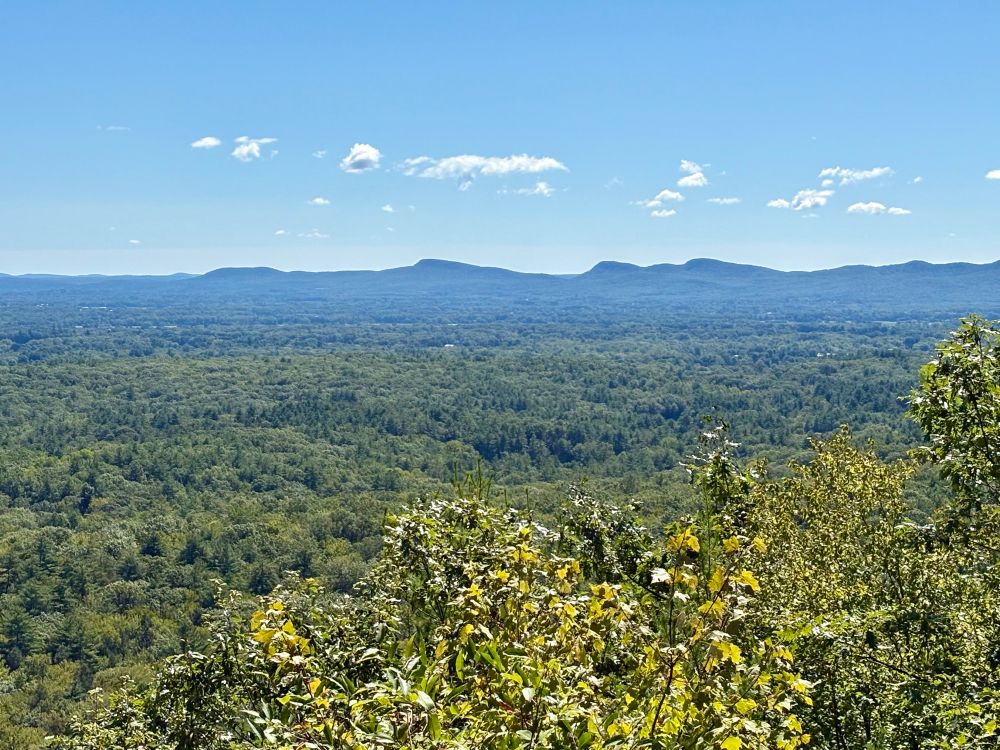 Photograph of a view from an elevated ridge line looking across a forested valley toward a low but jagged line of hills under blue sky.