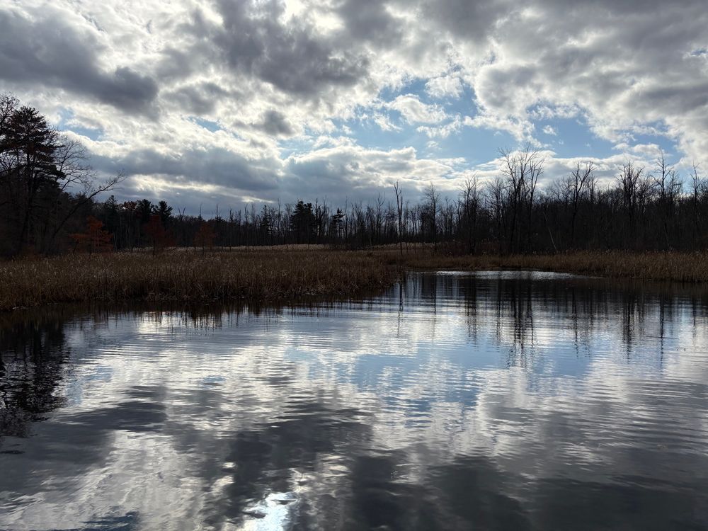 Photograph of a pond reflecting a partly cloudy sky and the woods along its shore.