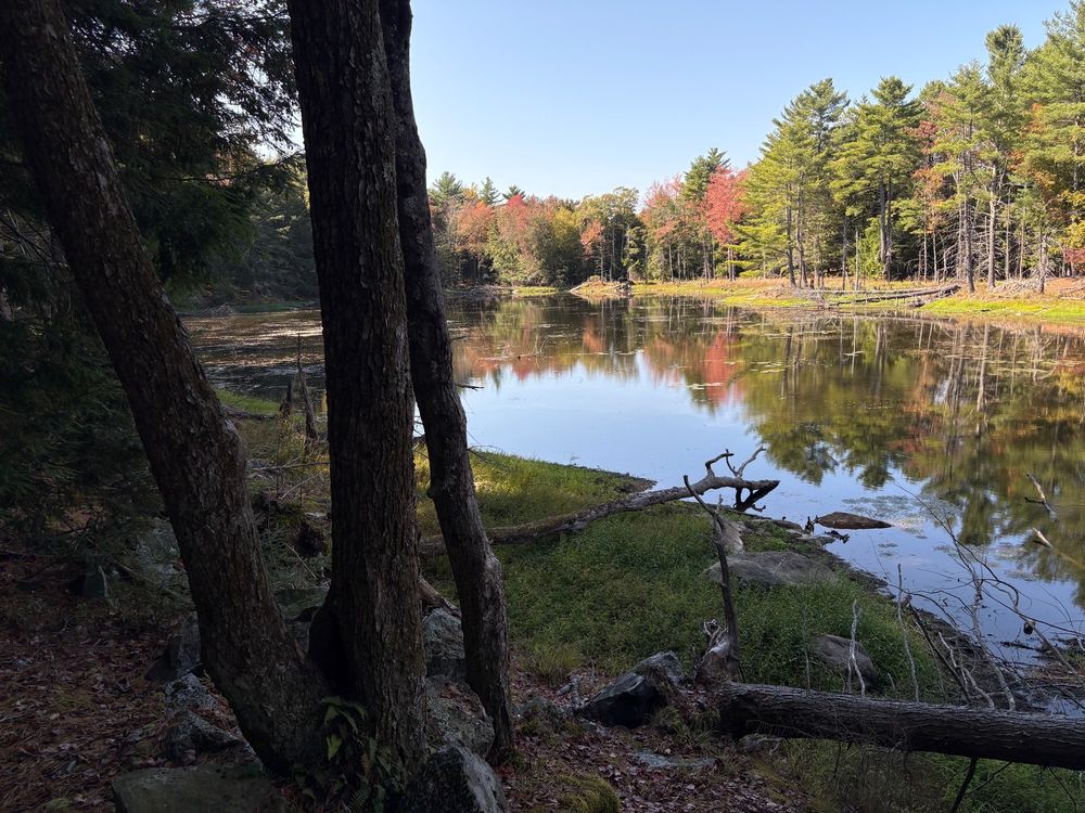 Landscape photograph of a pond catching autumn sunlight. The foreground is a shadowy wooded shoreline. The far shore is forested, with pops of fall color under blue sky.