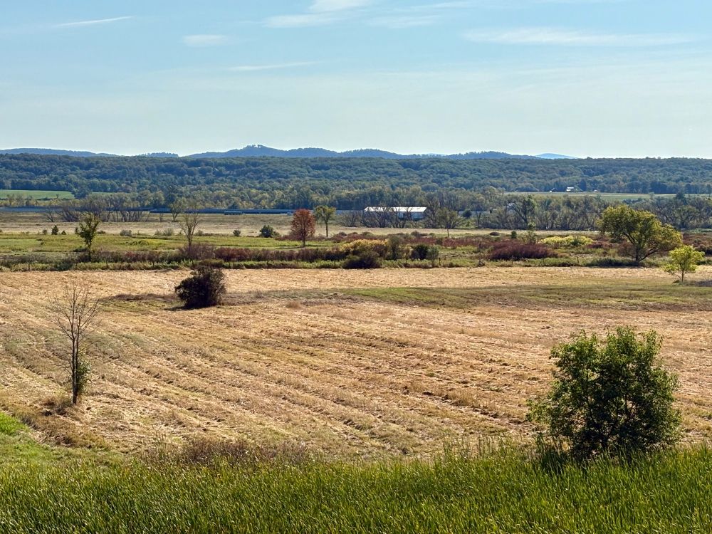 Photograph of a mown grass field rolling toward a line of forested hills on the horizon.