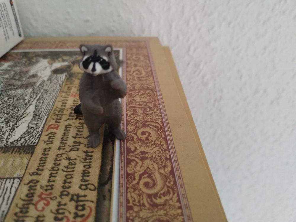 Ein kleiner plastik Waschbär steht auf einer Holzkiste.

Holzkiste sieht aus wie ein altes Bild mit altdeutscher Schrift