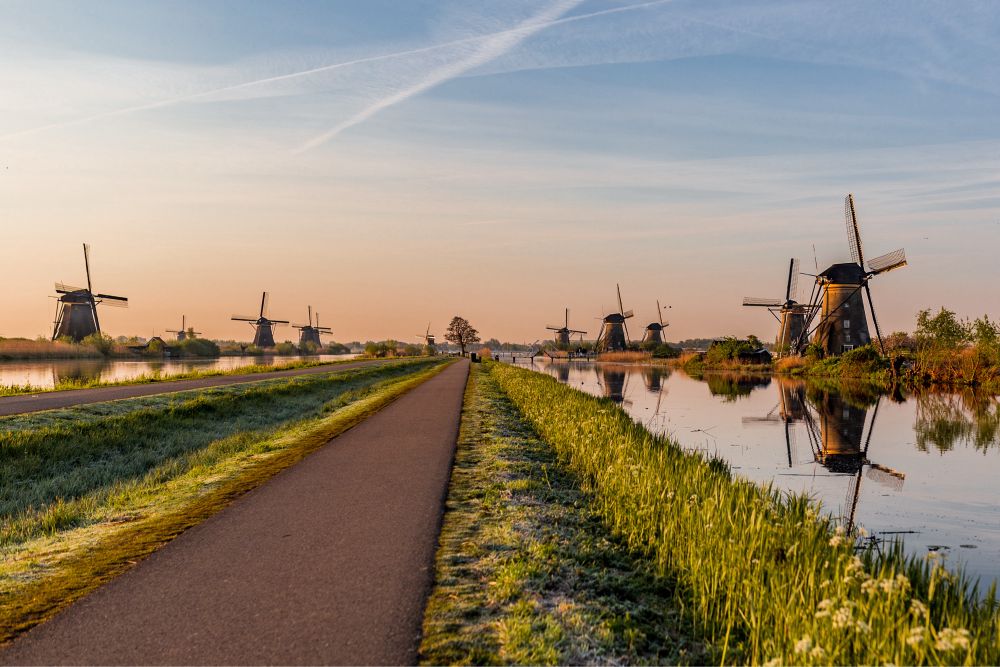 Ein asphaltierter Weg führt Richtung Horizont. Links und rechts davon etwas Wiese, Kanäle und etliche Windmühlen