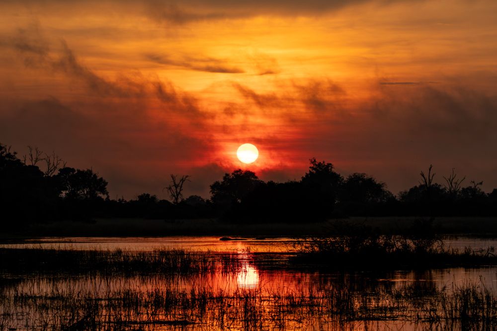 Sonnenaufgang über einem Feuchtgebiet im Okavango Delta. Der Himmel ist mit Wolken bedeckt, die von nächtlichen Gewittern stammen. Die Sonne scheint durch die Wolken, das Licht ist warm und diffus. Im Vordergrund spiegeln sich Farben im Wasser, Bäume erscheinen als Silhouetten.
