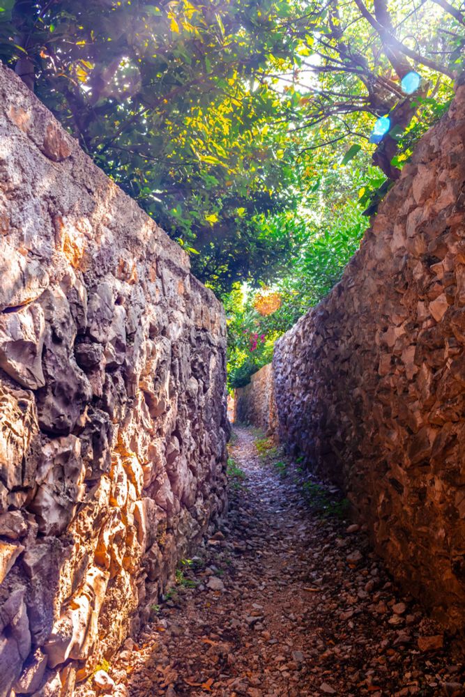Schmaler, steiniger Fußweg zwischen zwei hohen, rauen Natursteinmauern. Über dem Weg hängen dichte grüne Äste und Blätter, durch die warmes Sonnenlicht hindurchscheint und farbige Lichtreflexe erzeugt.