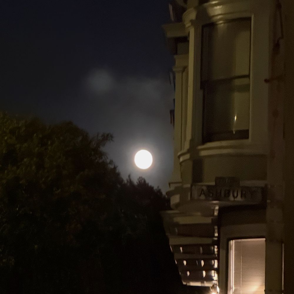 Like it says in the main text, a full moon is seen through a gap between a traditional San Francisco Victorian, and a tree. The sky is slightly foggy also in a traditional San Francisco way. In the foreground one can just read a street sign that says “Ashbury“