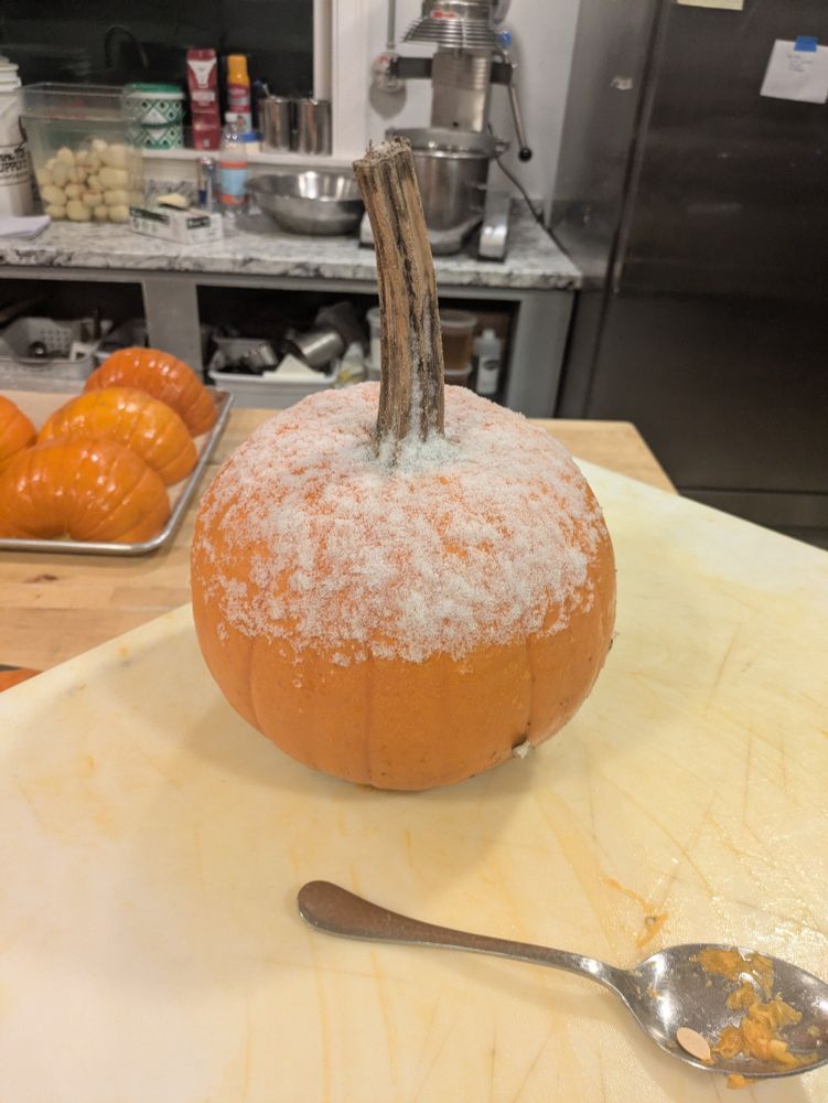 A snow capped pumpkin