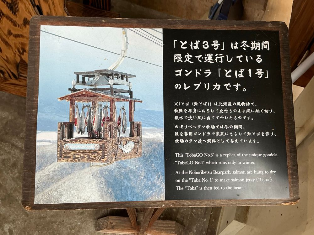 Picture of an open-sided cable car gondola occupied by salmon hung from its roof.