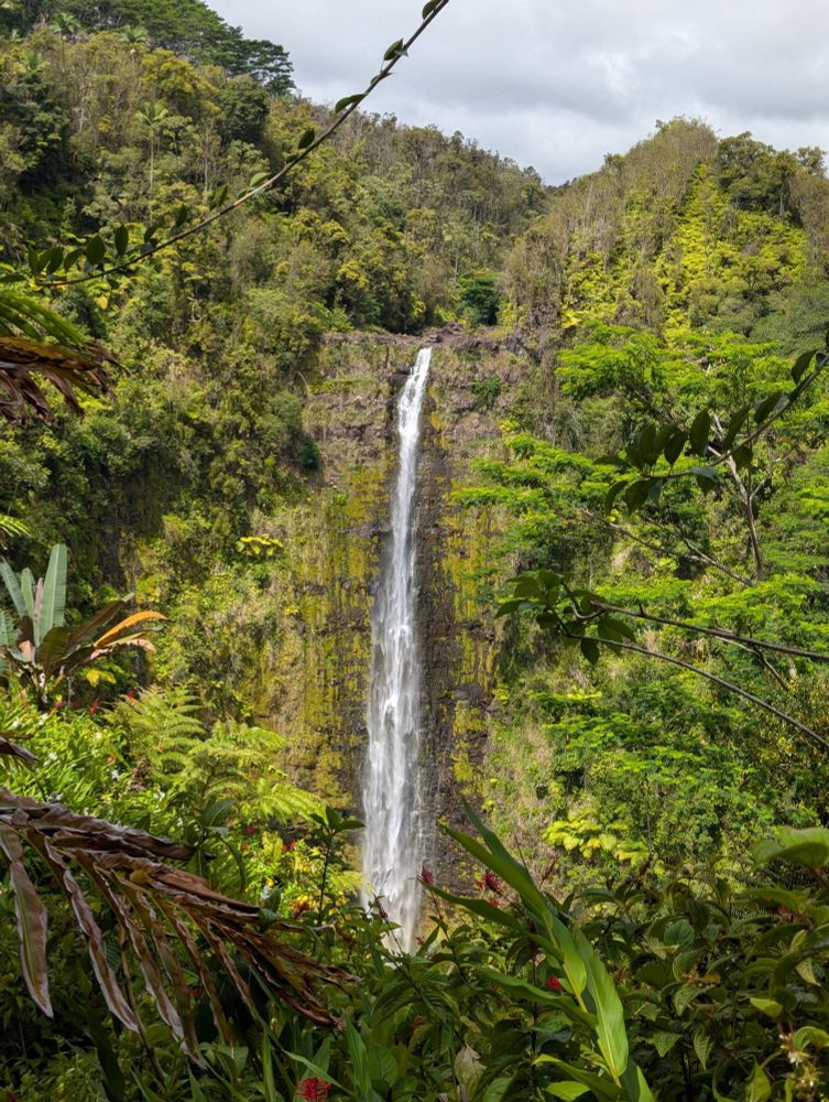 waterfall at 'Akaka Falls State Park on the big island of Hawaii