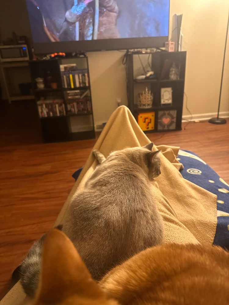 Picture of grey and white cat and orange tabby laying on a tan blanket 