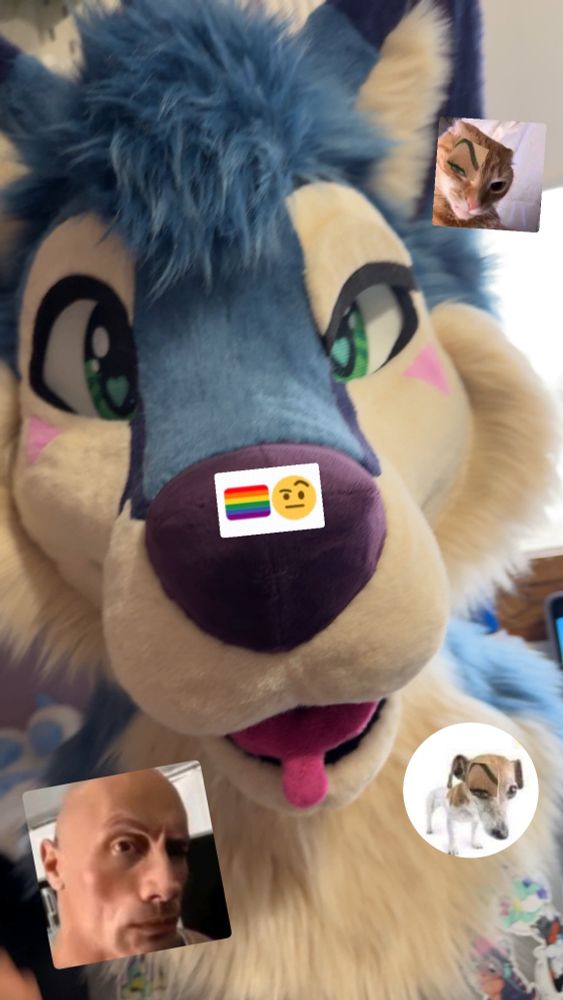 Gay blue dog ?? (Sus)