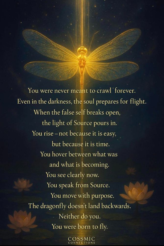 A golden fire fly against a background with some lotus flowers and a quotation. 