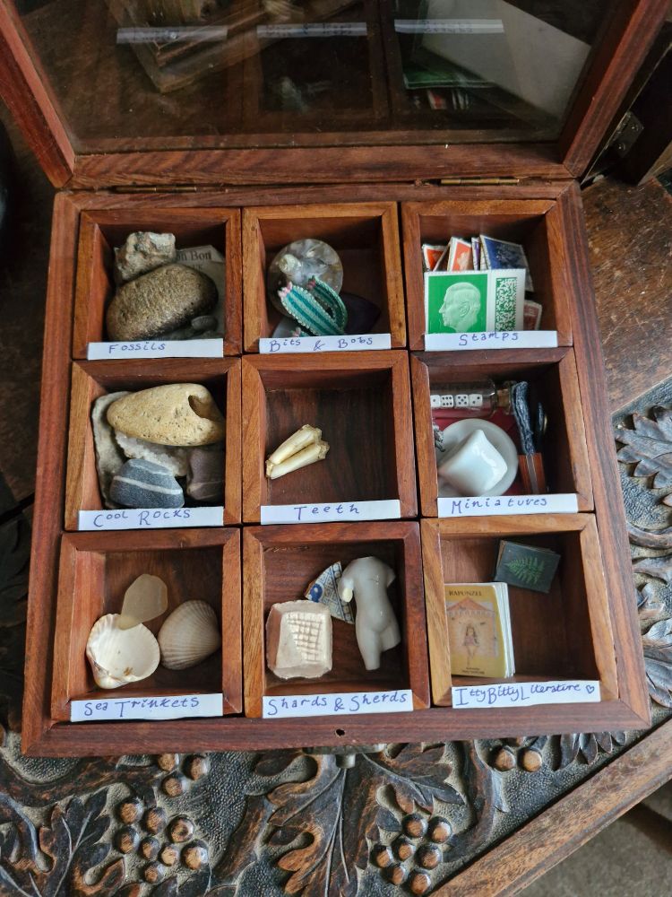 Fun fact! You can tell if a fossil is real by putting it to your tongue. A real fossil will gently stick to your tongue. 