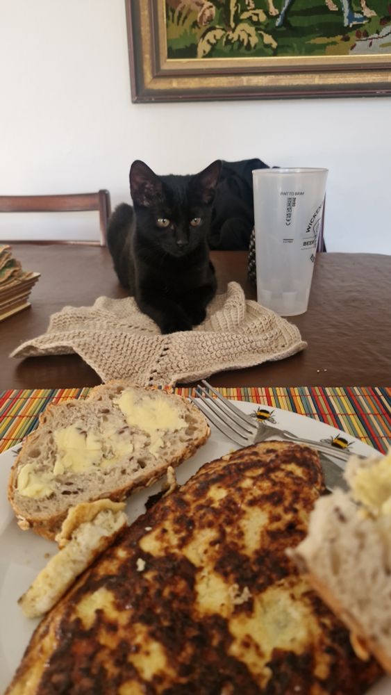 "Please gibs me omelette" nice try, cutie pie