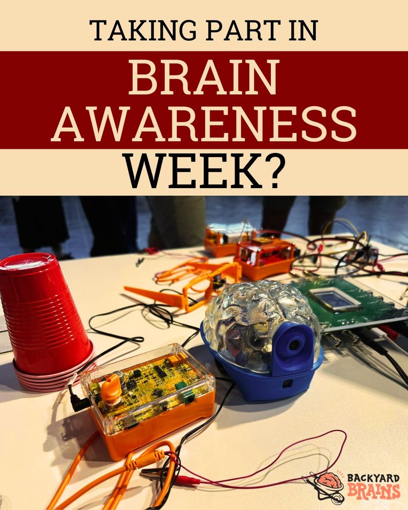A Brain Awareness Week poster with a bunch of DIY neuroscience kits by Backyard Brains, a company that creates educational hardware, software and lesson plans.