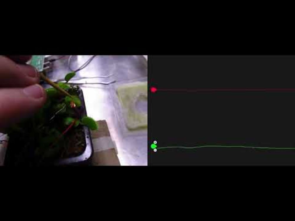 FlyTrap Recording with Backyrd Brains! 😱😱