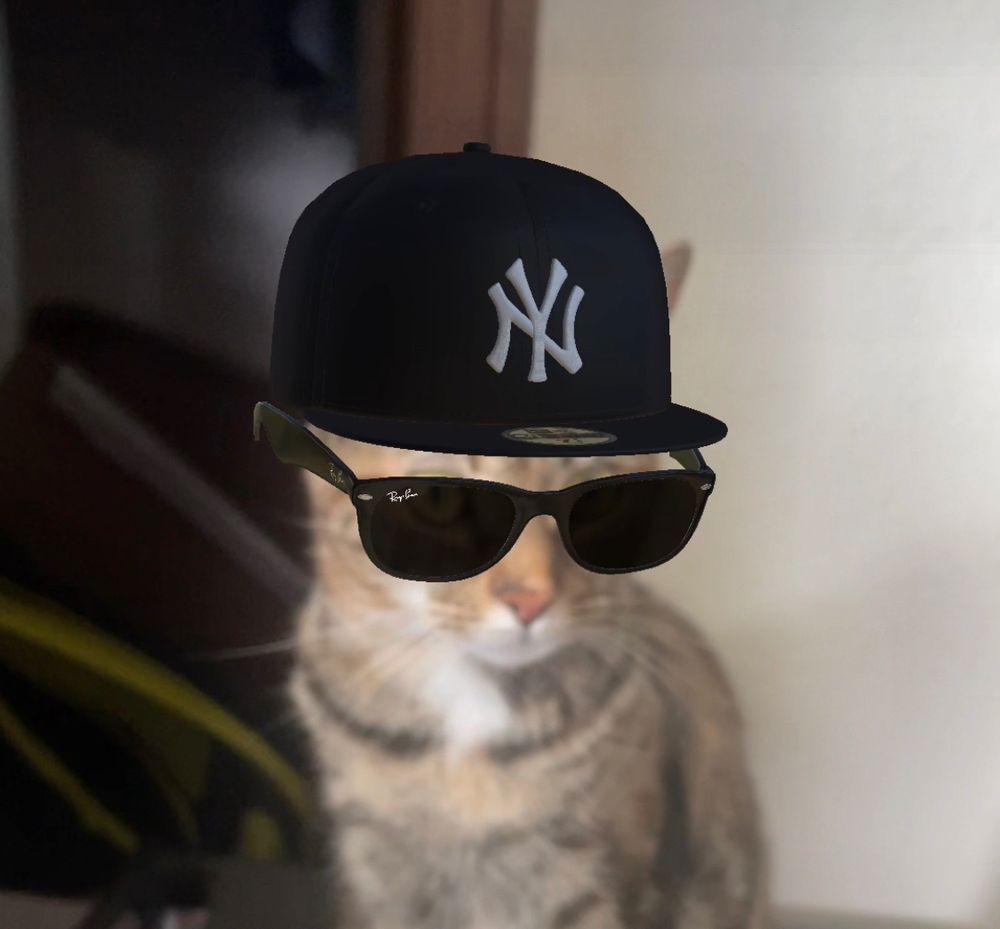 Cat with a filter on that makes it look like she’s wearing a New York Yankees hat and some RayBan sunglasses.