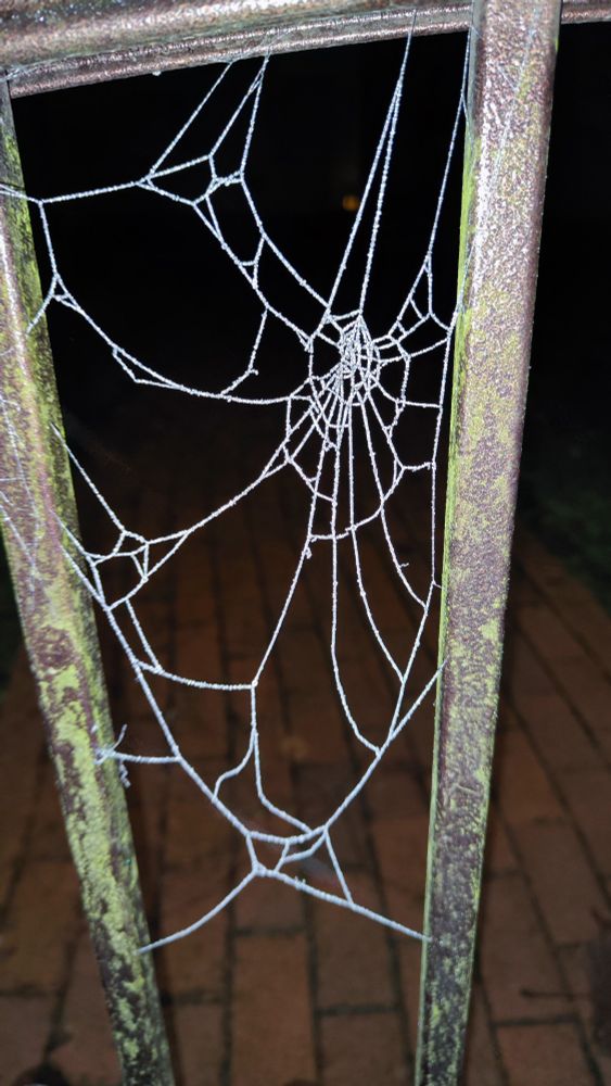 Gefrorenes Spinnennetz zwischen 2 Metallstreben einer Gartenpforte 