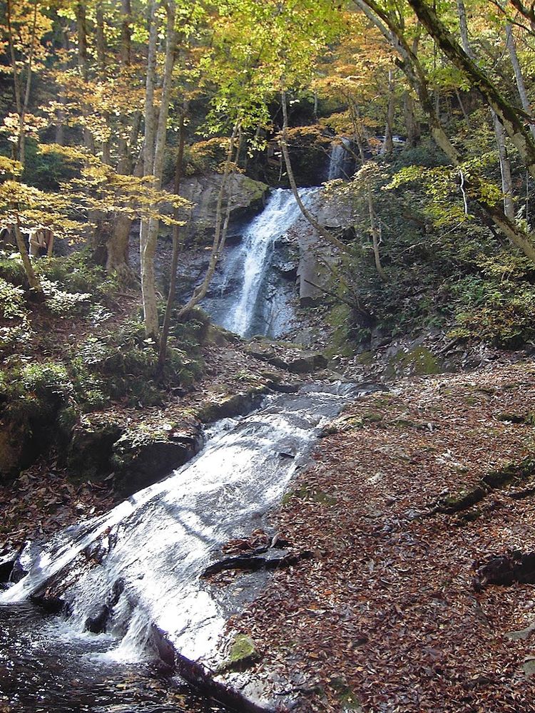 A stream running down jagged rock with a waterfall, and autumn leaves in sunshine behind.