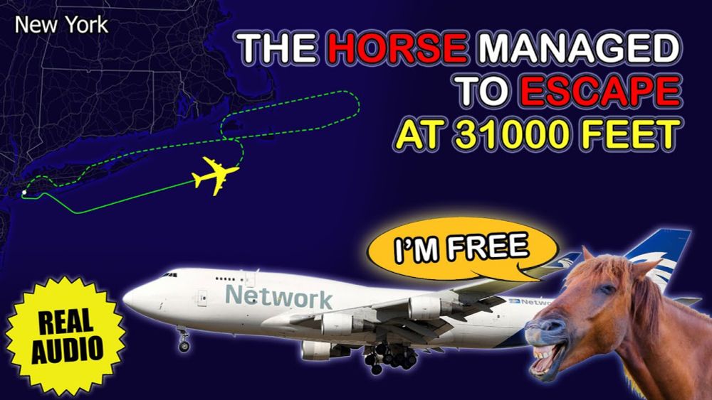 HORSE ESCAPES the stall in cargo hold during flight. Boeing 747 returns to Kennedy. Real ATC