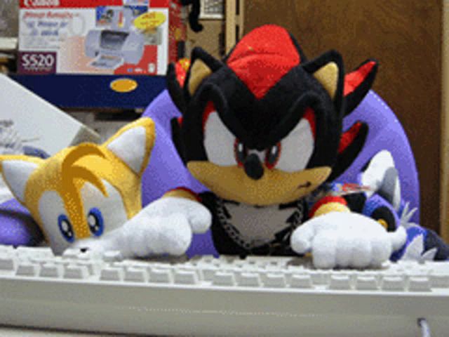 shadow the hedgehog and tails the fox sit on a keyboard