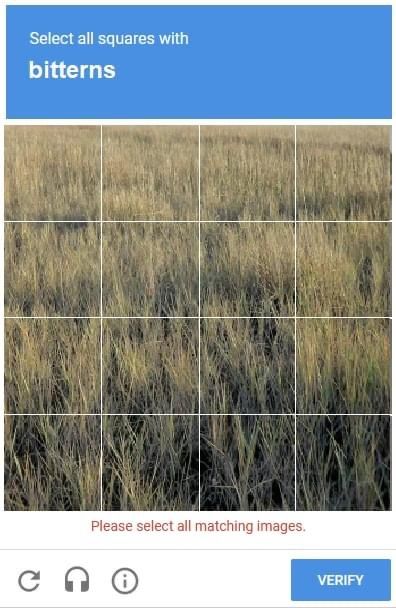 One of those captcha things but it was "Select all squares with bitterns" and there's a 4 x 4 grid of a reedbed. The bittern is not visible.