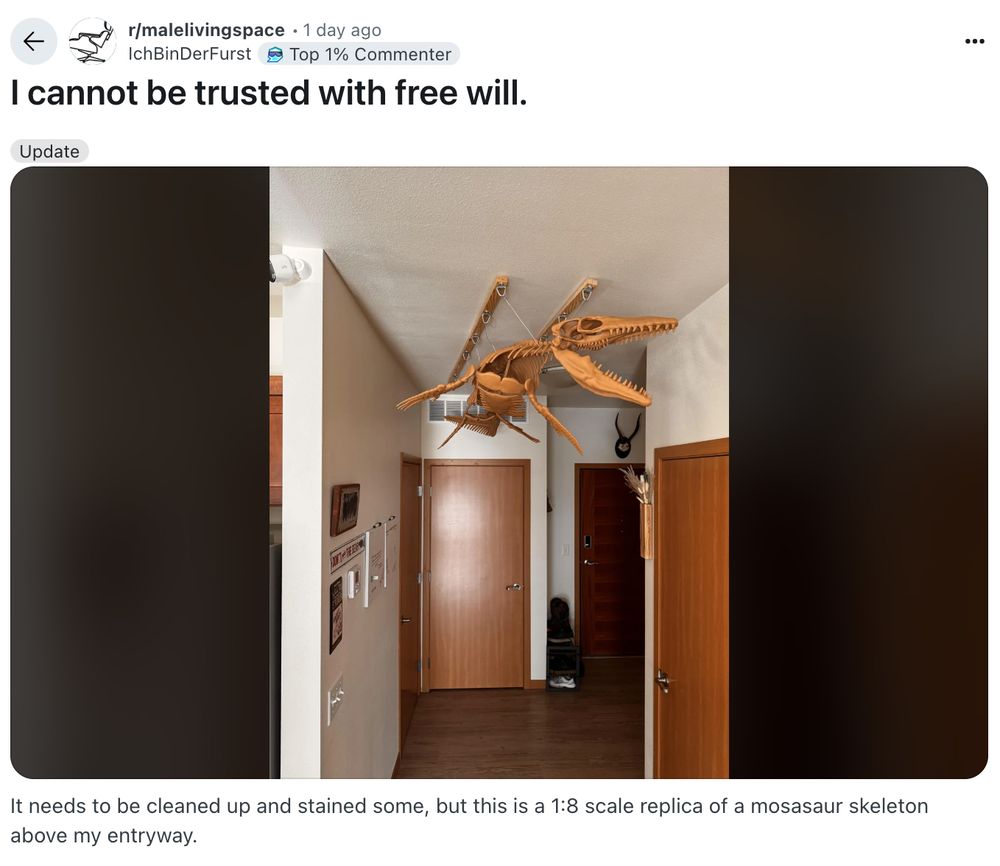 A guy on the r/malelivingspaces subreddit installed a 1:8 scale replica of a mosasaur skeleton above his entryway. Dudes rock. 