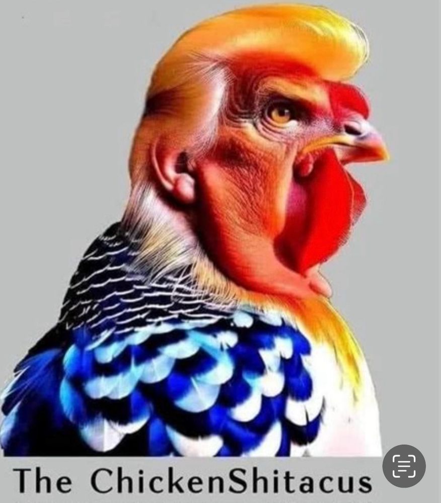 Comment image