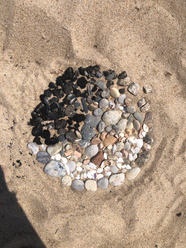 A picture showing a spot in sand that go from dark to light using various shells and rocks. 